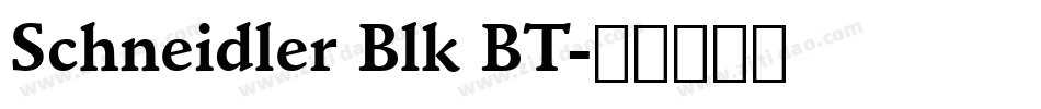 Schneidler Blk BT字体转换